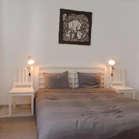 Apartment Mountain Aster