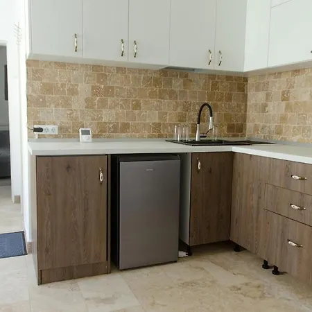 Mountain Aster Brasov