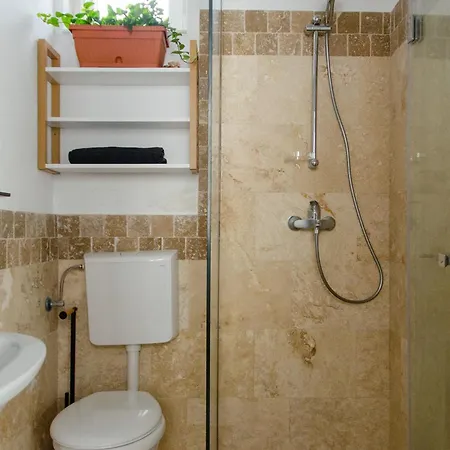 Apartment Mountain Aster Brasov