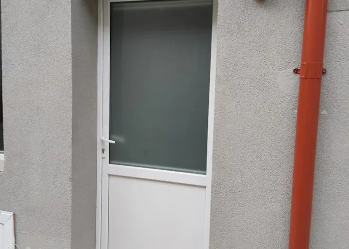 Mountain Aster Apartment *