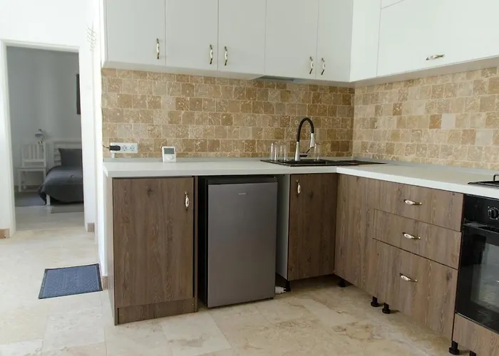 Mountain Aster Brasov