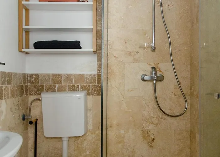 Apartment Mountain Aster Brasov